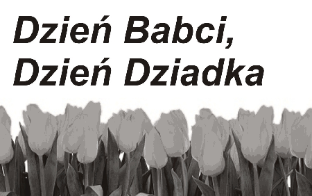 Żółte tulipany Dzień Babci Dzień Dziadka